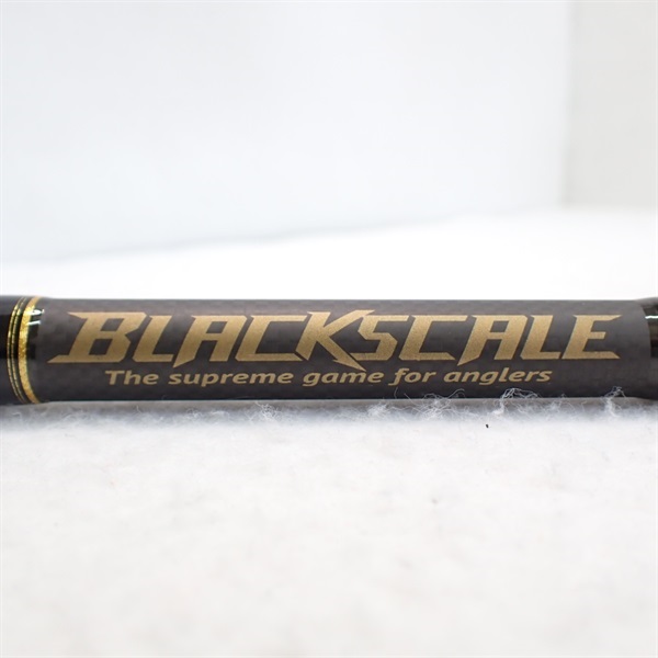 ブラックスケールＢＳＤＣー７７ＸＸＸ